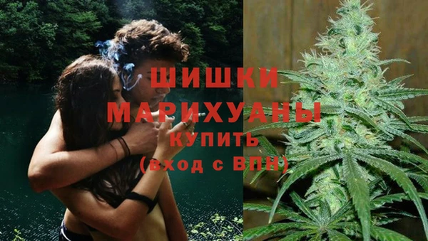 PSILOCYBIN Алексин