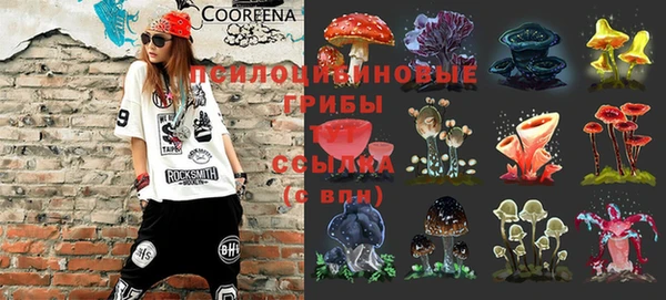 кокс Алексеевка