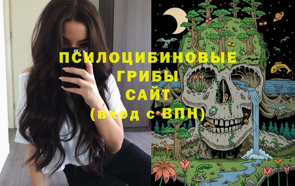 не бодяженный Алзамай