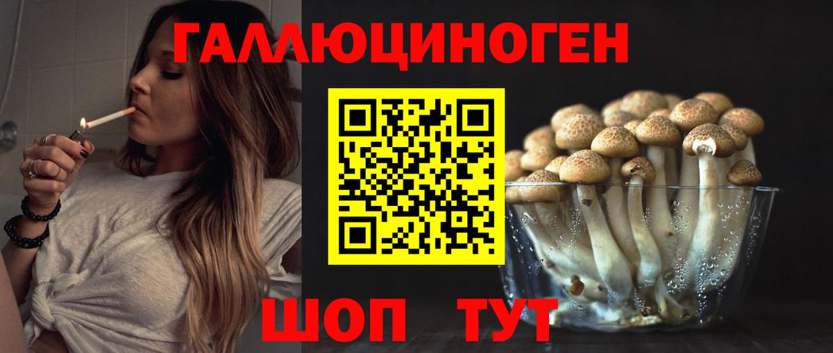 Люберцы  Галлюциногенные грибы прущие грибы  Псилоцибиновые грибы мицелий  Вход с VPN 